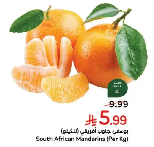يوسفي جنوب افريقي (بالكيلو)