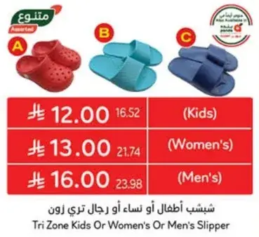 Tri Zone Kids or Women's or Men's Slipper
