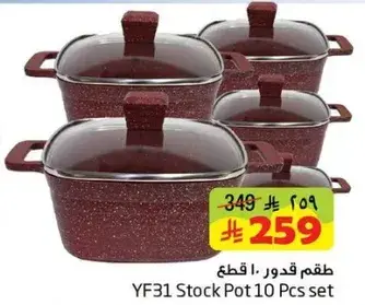 YF31 Stock Pot 10 Pcs Set