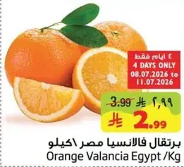 برتقال فالنسيا مصر كجم