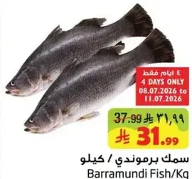 Barramundi Fish Kg