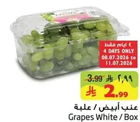 Grapes White Box
