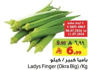 باميه كبيره / كيلو