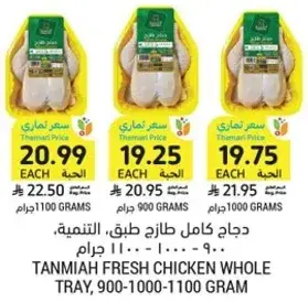 دجاج طازج كامل، 900-1100 جرام