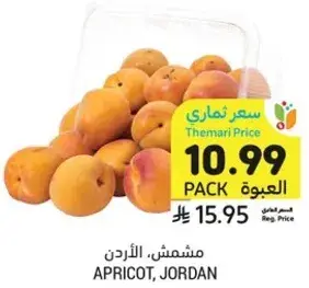 APRICOT, JORDAN