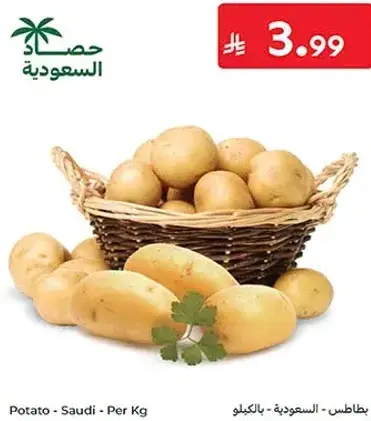 بطاطس - السعوديه - بالكيلو