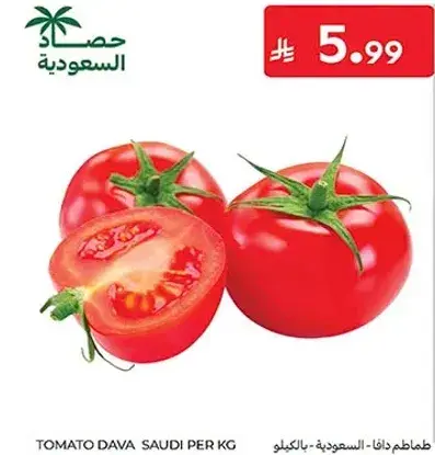 طماطم دافا سعودي - بالكيلو