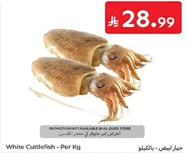 White Cuttlefish - Per Kg