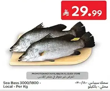 Sea Bass 3000/1800 - Local - Per Kg