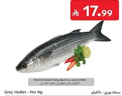 Grey Mullet - Per Kg
