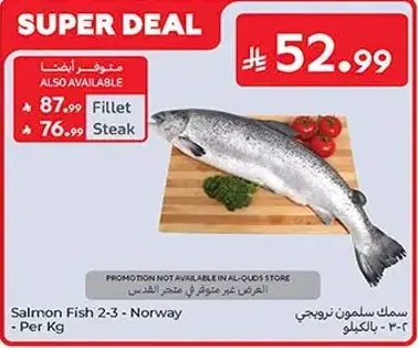 Salmon Fish 2-3 - Norway - Per Kg