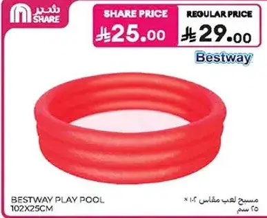 مسبح لعب مقاس 102 سم