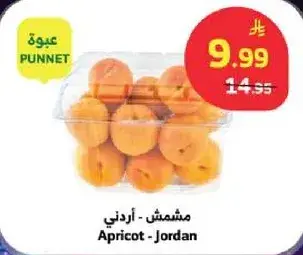 مشمش - اردني