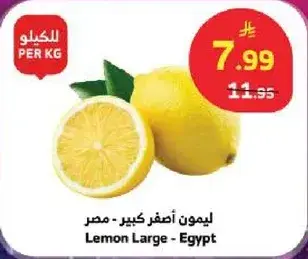 Lemon Large - Egypt