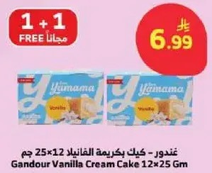 غندور كيك بكريمه الفانيلا 25×12 جم