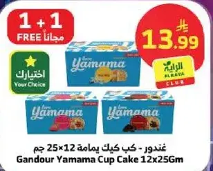 غندور كيك ياماما 25×12 جم