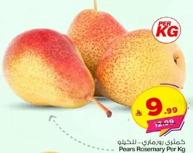 كمثري روزماري للكيلو
