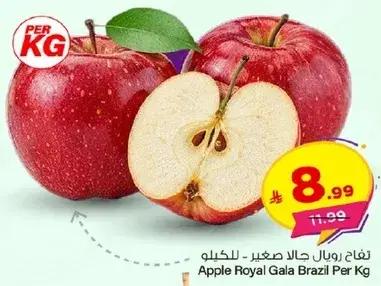 Apple Royal Gala Brazil Per Kg