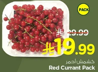 كشمش احمر