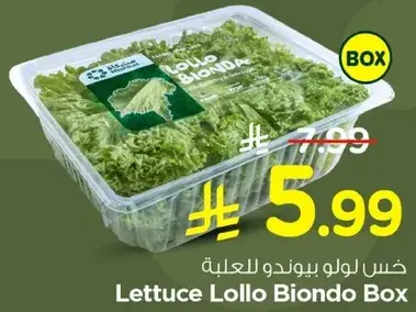 خس لولو بيوندو للعلبه