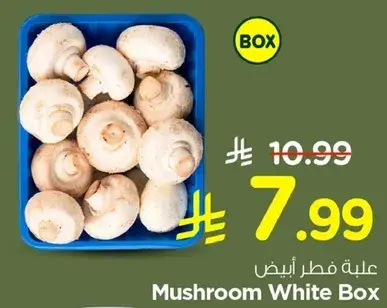 علبه فطر ابيض