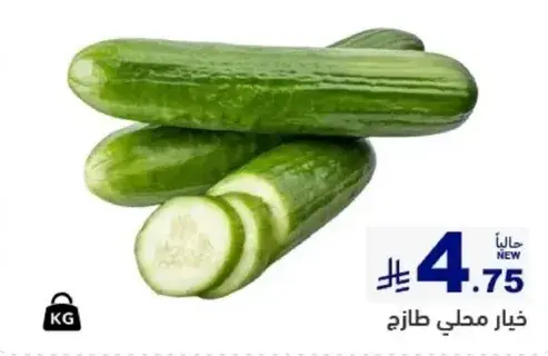 خيار محلي طازج