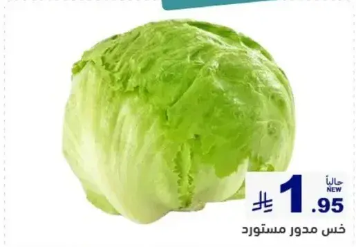 خس مدور مستورد