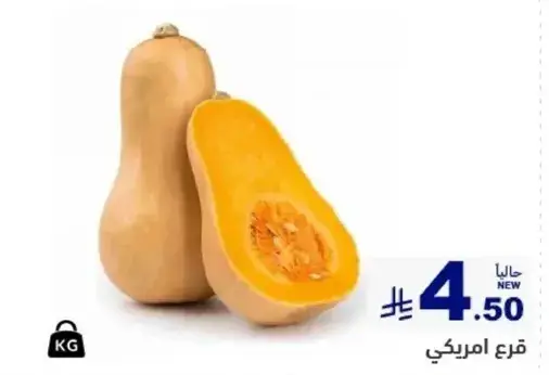 قرع امريكي