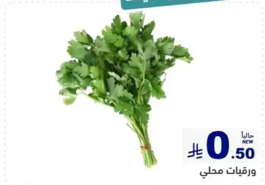 ورقيات محلي