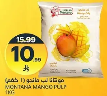 Montana Mango Pulp 1kg