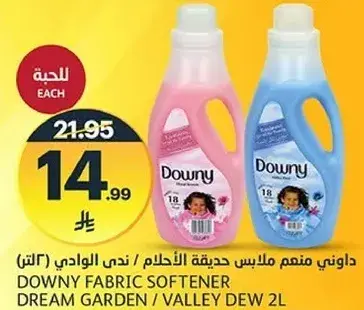 Downy Fabric Softener Dream Garden 2L