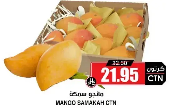 Mango Samakah CTN