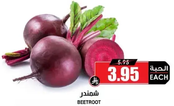 شمندر
