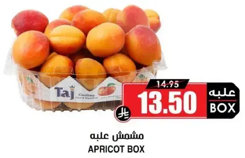 مشمش عليه