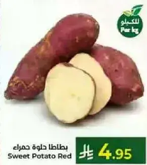 Sweet Potato Red