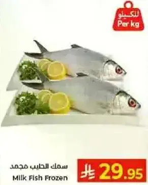 سمك الحليب مجمد