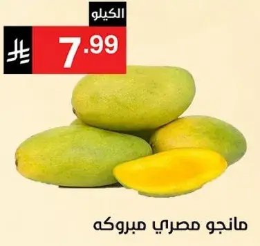 مانجو مصري مبروكه