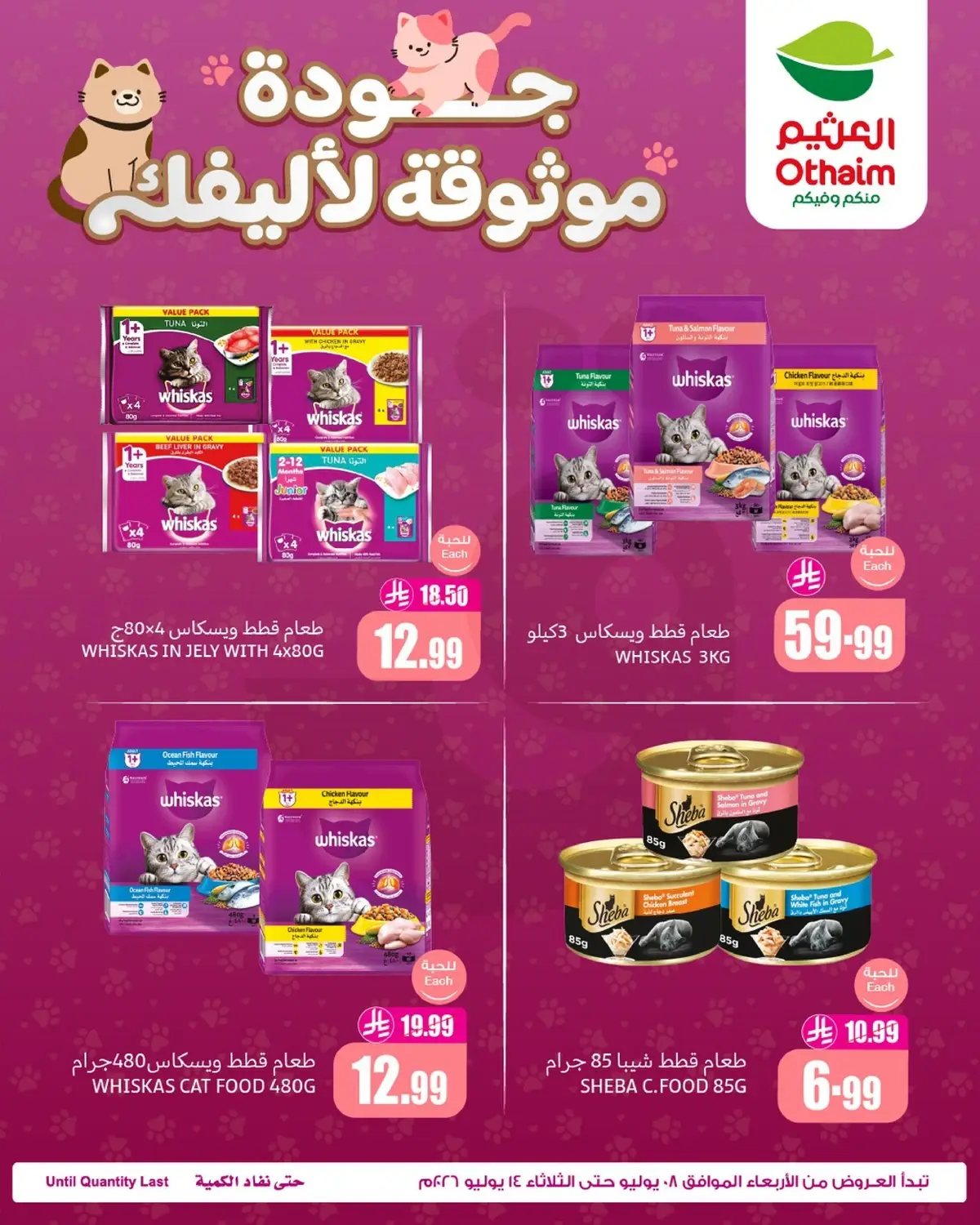 عروض طعام القطط