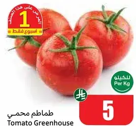 Greenhouse tomatoes