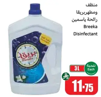 منظف ومطهر بريقا رايع بيسمين.