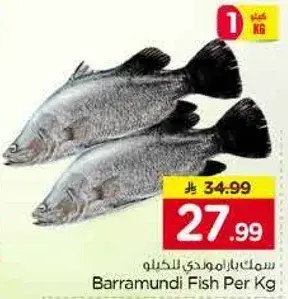 Barramundi Fish Per Kg