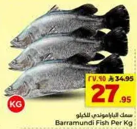 Barramundi Fish Per Kg