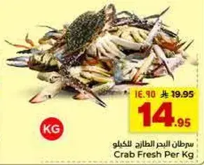 Crab Fresh Per Kg