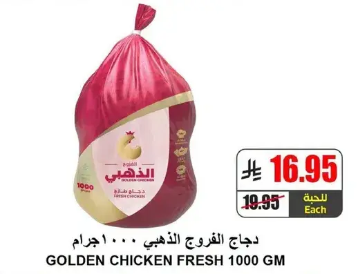 دجاج الفرخ الذهبي