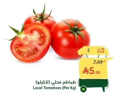 طماطم محلي (بالكيلو)