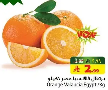 برتقال فالنسيا مصر كيلو