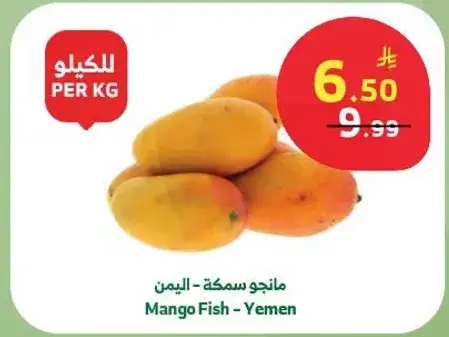 مانجو سمكه - اليمن