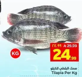 سمك البلطي للكيلو