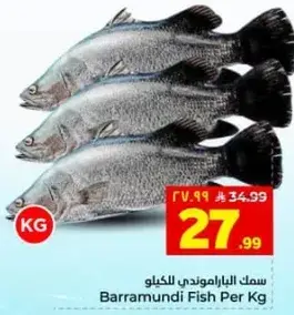 سمك الباراموندي للكيلو