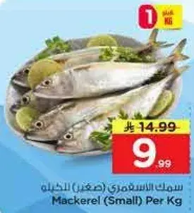 Mackerel (Small) Per Kg